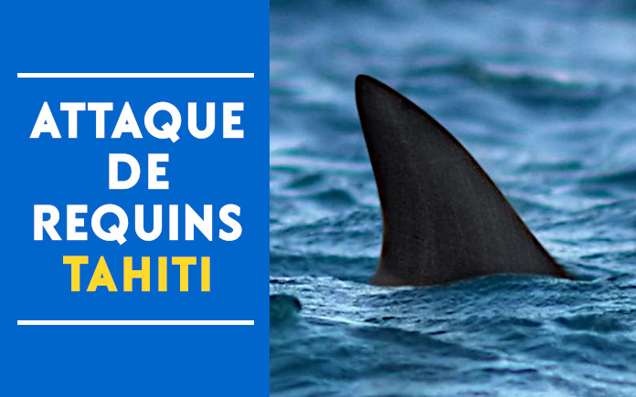 attaque requins tahiti