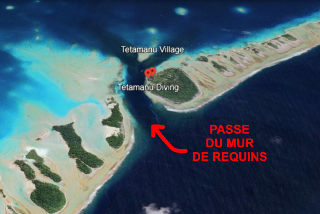 passe de fakarava requin