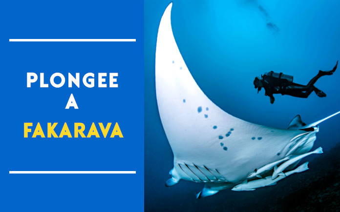 plongee fakarava