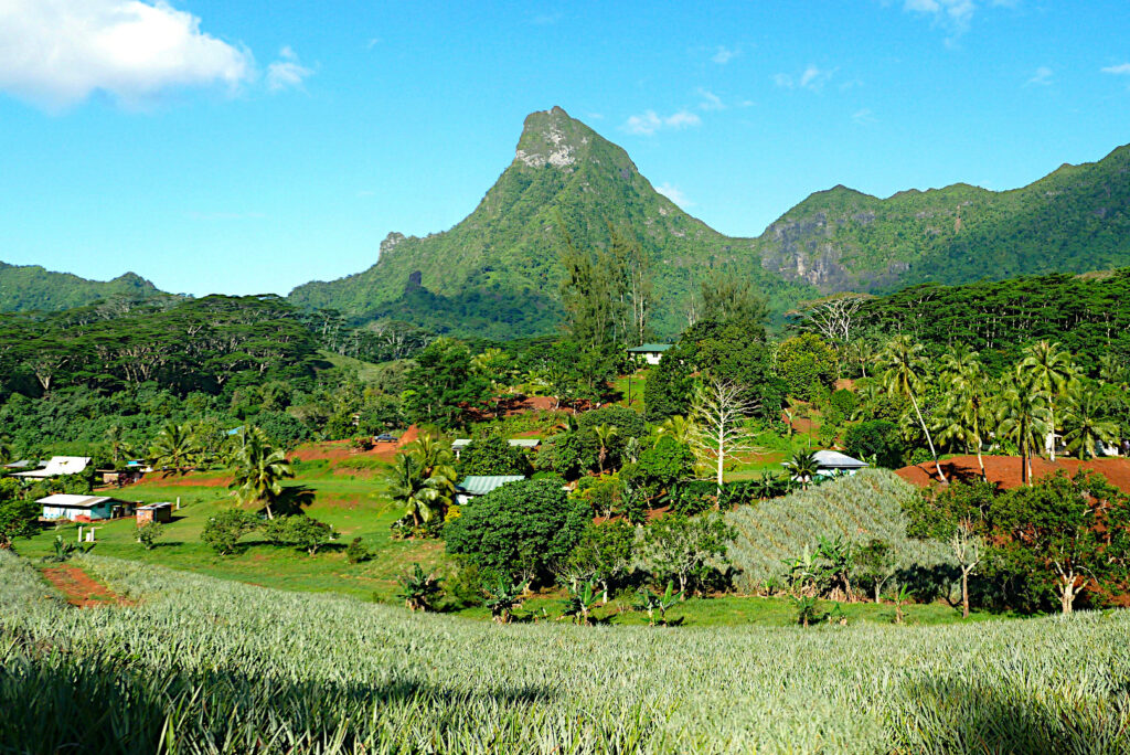 Tropical Garden moorea