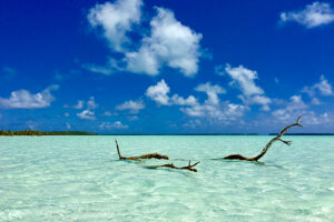 que faire à tahiti