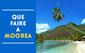 que faire moorea que faire moorea