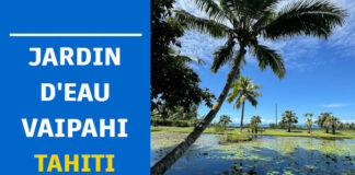 Voir le Jardin d’Eau de Vaipahi : histoire, accès et conseils pratiques jardin eau vaipahi