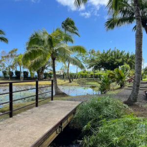 jardin eau vaipahi tahiti