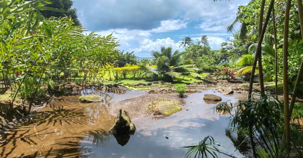 jardin vaipahi tahiti