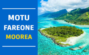 motu fareone motu fareone