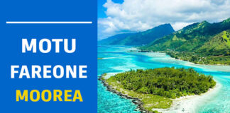 Motu Fareone motu fareone