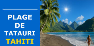 Plage de Tautira : Notre Guide Complet plage de tautira
