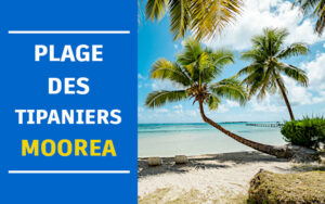 plage des tipaniers plage des tipaniers