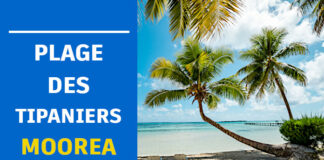 Plage des Tipaniers Moorea plage des tipaniers
