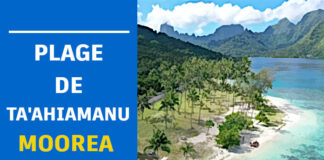 Plage de Ta’Ahiamanu plage de taahiamanu