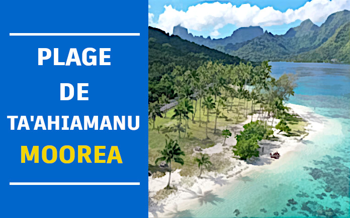 plage de taahiamanu