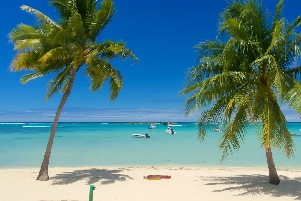 plage tipaniers moorea