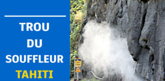 Visiter le Trou du Souffleur à Tahiti : histoire, accès et conseils pratiques trou du souffleur tahiti