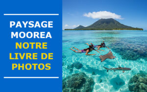 paysage moorea paysage moorea
