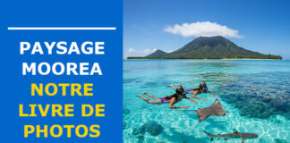 Paysage de Moorea : l’île enchanteresse de Polynésie française paysage moorea