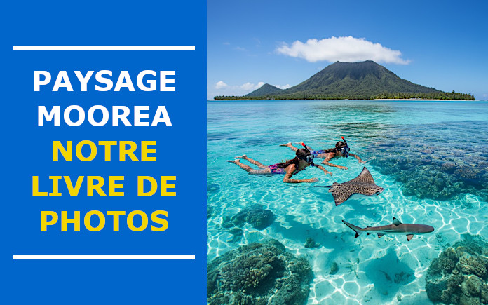 paysage moorea