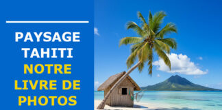 Paysage Tahiti : une île aux mille visages entre montagne, lagon et jungle paysage tahiti