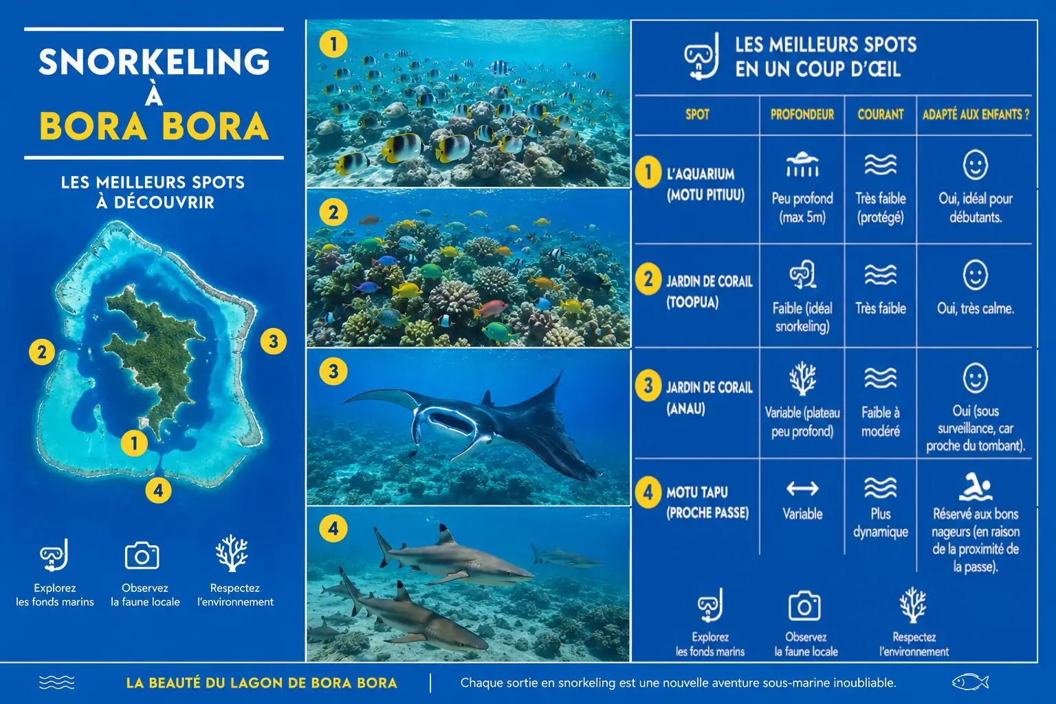 carte spot snorkeling bora bora carte spot snorkeling bora bora