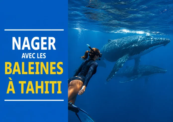nager avec baleine tahiti