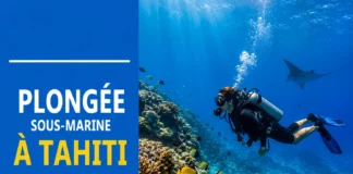 plongee tahiti