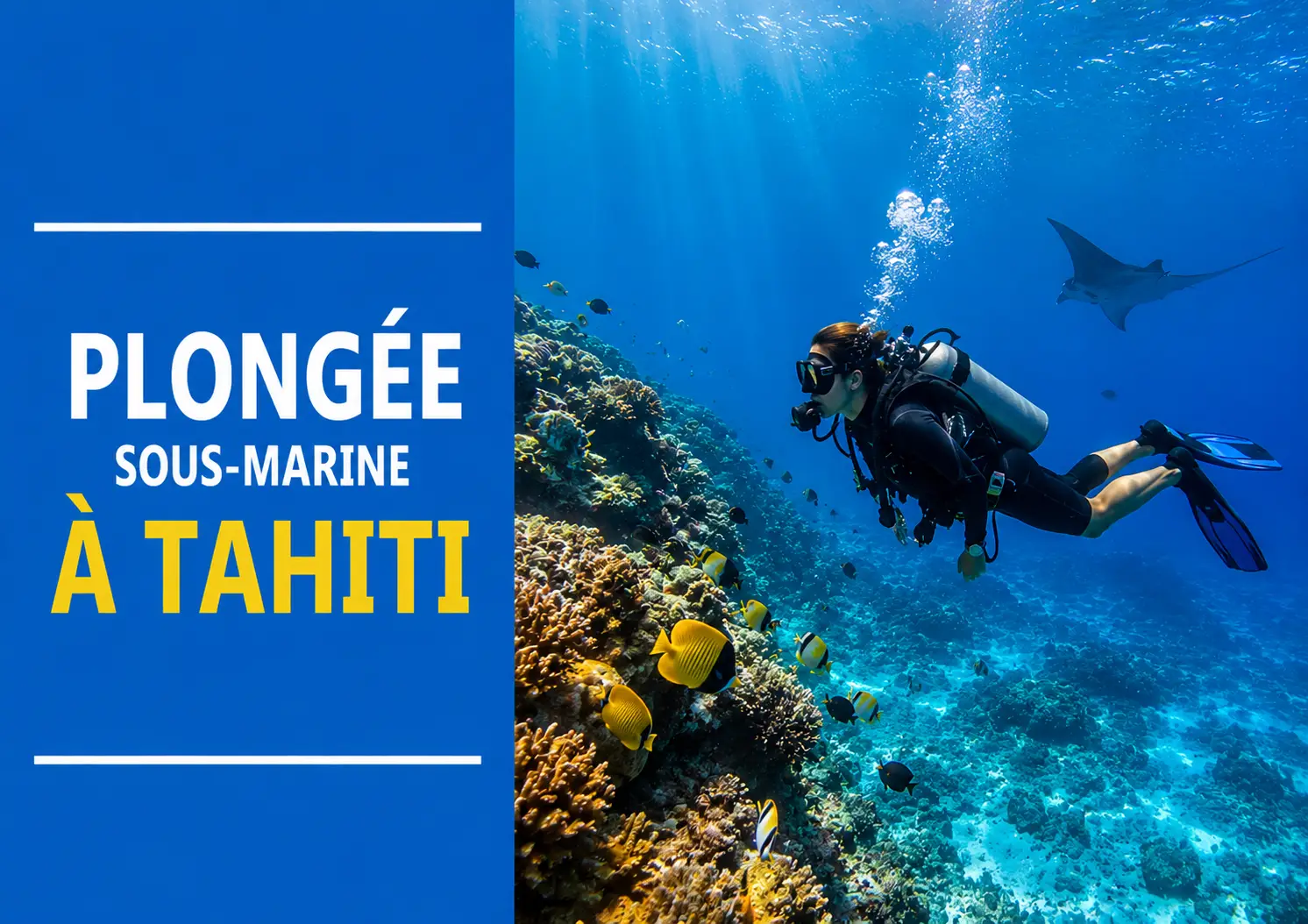 plongee tahiti plongee tahiti