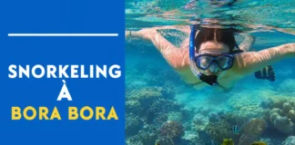 snorkeling bora bora