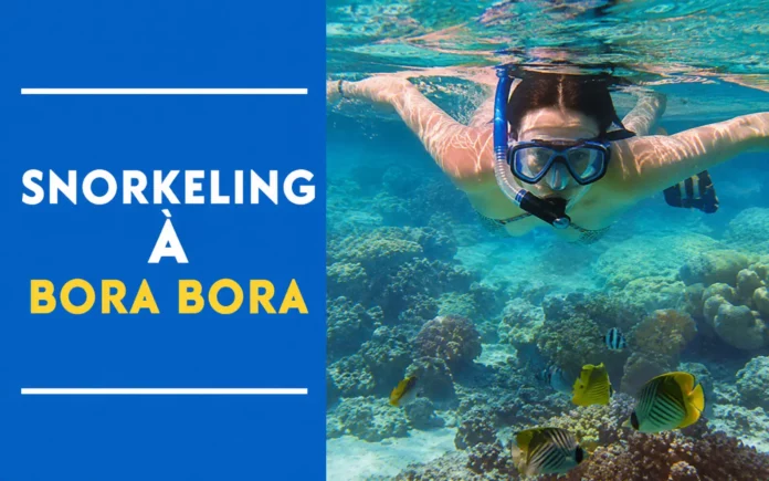 snorkeling bora bora
