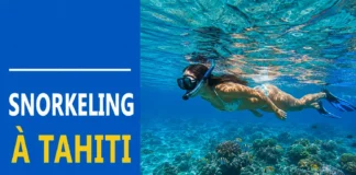 Snorkeling à Tahiti : Guide des meilleurs spots et conseils pro snorkeling tahiti